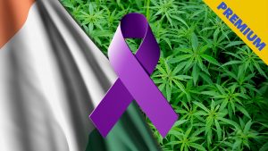 Epileptikkolapset vievät kannabisasiaa eteenpäin Irlannissa