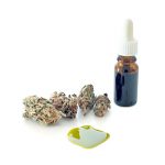 Kannabiksen puolesta #2: Kannabis ja lasten epilepsia (SANA ON VAPAA)