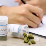 Yhdysvaltain syöpäinstituutti: Kannabis tuhoaa syöpäsoluja